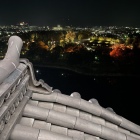 天守から岡山市内の眺め