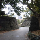 汐見坂（上から）