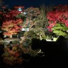 好古園の紅葉（夏木の庭から西の丸を望む）