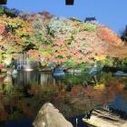 好古園の紅葉（観庭台から西の丸を背景に）