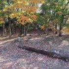 宿直跡と後背の月見櫓跡