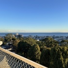天守から見た伊豆大島