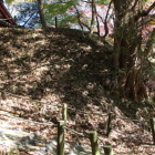 二の丸西側虎口と土塁