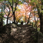 二の丸南土塁の西側より