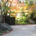 日本庭園西門辺りの紅葉