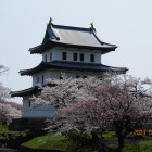 桜と三階櫓