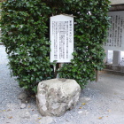 家康公立あがり石