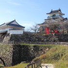 天守閣と天守御門を富士見櫓跡より