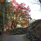 本丸北門食違い門跡と紅葉