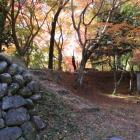 二の丸南土塁と樹間のもみじ