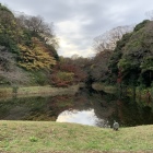 水面に紅葉が映る道灌堀