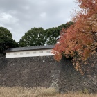 富士見多聞と紅葉