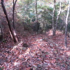 新高山城　ウネウネ