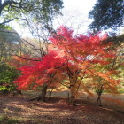 新高山城
