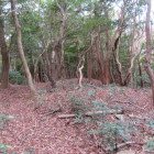 荒滝山城
