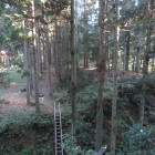 増山城