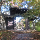越前大野城