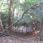 宇佐山城