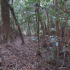 古城ケ岳城