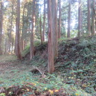 増山城