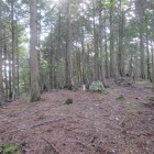 青山城