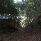 小堤山城