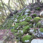 宇佐山城