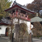 成願寺の山門