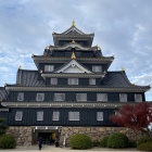 堂々‼︎