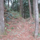 西に下った側の小さな堀切？