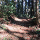 土橋先の両側が土塁
