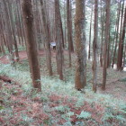 主郭から帯び郭・中央に元宮