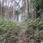 右主郭・左二の郭