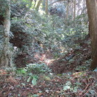 土橋右の堀