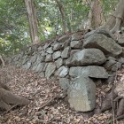 イバノヲ・大タオの隅角部を持つ石垣（下原側）