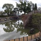 高槻城公園の模擬天守台と水堀風の池