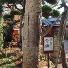 桜井神社社殿前の尼崎城外堀の石杭句碑