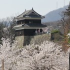 桜に浮かぶ西櫓