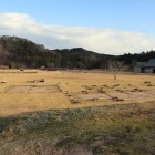 全景