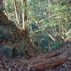 寿コースから見上げた堀切はこんな感じ