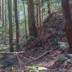 坂虎口?