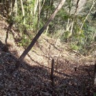 主郭の南側には浅めの竪堀が四条