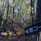 左が寿コース、奥に若武者コース