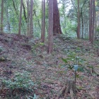 主郭の土塁