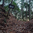 登っていくと堀切が