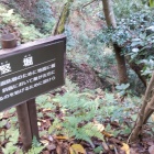 ⑤	本丸下の竪堀（急斜面）