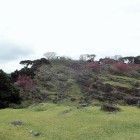 ⑥大隅から御内原方面を望む
