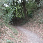 右は奥ノ山、左は城山を分かつ堀切