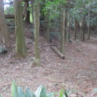 土橋西の堀と土塁