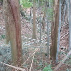 セッテイ山 西側の堀